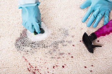 Fototapeta na wymiar Person Cleaning Stain Of Carpet With Sponge