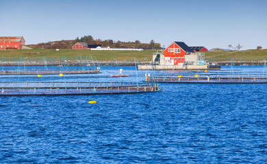 Fish farm for salmon production in nature