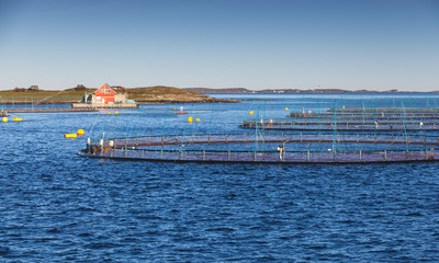 Fish farm, salmon and trout production
