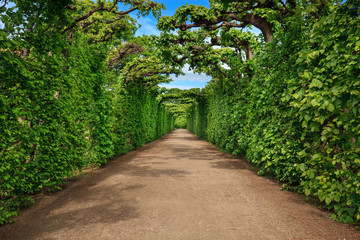 Schönbrunn gardens. Vienna. Austria