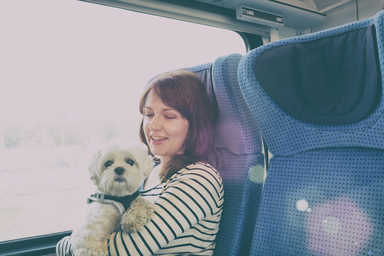 Dog traveling by train