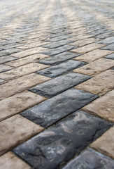 Stone paving tiles of different shapes and colors