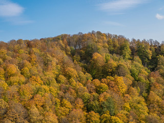 Weekend in the mountains. Climb to the top through the forest.