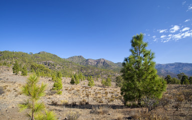 Gran Canaria, November