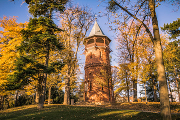 Fototapeta premium Jesień w parku Türkenschanzpark w Wiedniu, Austria