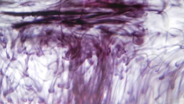 Ink in water Redish Slow movement 4k Visual Resource VJ