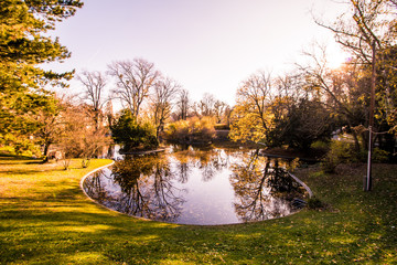 Fototapeta premium Herbst in dem Türkenschanzpark in Wien, Österreich