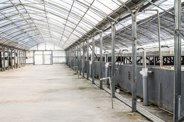 Pool for breeding sturgeon fish