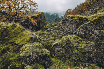 mountain rocks with fall foliage