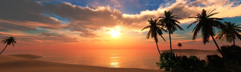 Fototapeta na wymiar beautiful sea sunset on the beach with palm trees 