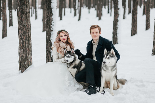 Stylish couple are playing with siberian husky in snowy forest. Winter wedding Artwork