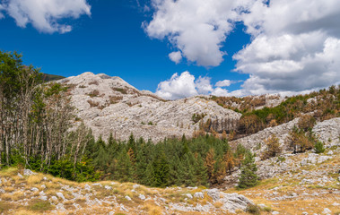 Autumn in Lovcen National Park, Mausoleum of Petar 2 Petrovic-NjegosBalkan Peninsula, Montenegro, Europe