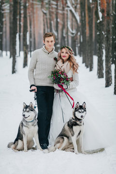Stylish bride and groom with two siberian husky are posed on background of snowy forest. Artwork