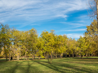 City park on a sunny autumn day.