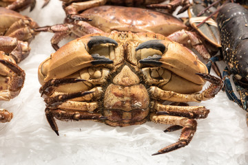 Crab in the market sea fish