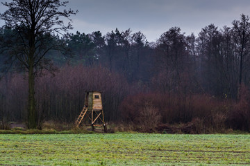 Ambona myśliwska do polowań, © Senatorek