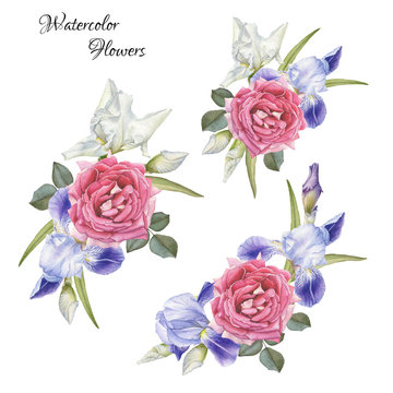 Bouquet of flowers. Flowers set of hand drawn watercolor roses and irises