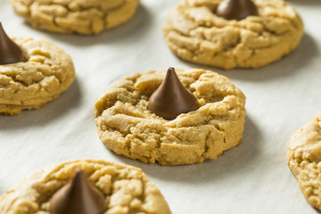 Fototapeta na wymiar Homemade Sweet Peanut Butter Chocolate Cookies