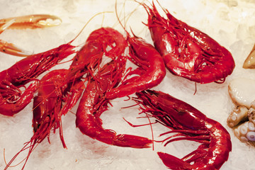 A group of amazing fresh red shrimps on ice in a seafood store. Close-up shot.
