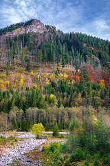 Colorful autumn trees in Tatra mountains, Poland