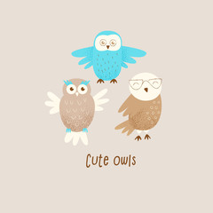 Cute owl