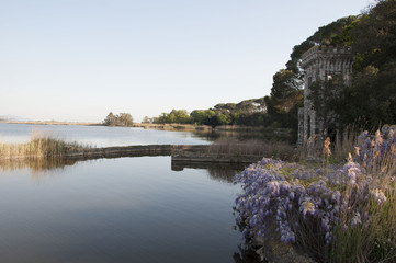 Fototapeta na wymiar Lago di Massaciuccoli-Toscana