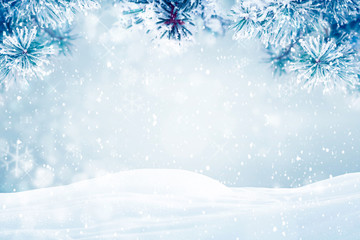 Winter background, falling snow on pine tree branches copy space 