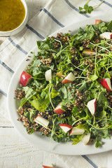 Raw Healthy Organic Kale and Apple Salad