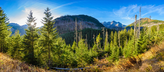 Panorama from road to Morskie Oko in Tatra mountains, Poland - obrazy, fototapety, plakaty
