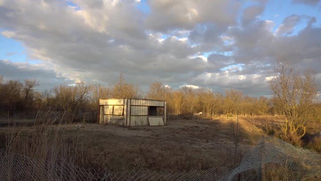 mouvement panoramique sur un cabanon dans un pr&eacute; en Camargue, qui sert d'enclos pour chevaux