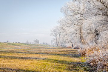 Panorama of the frozen lake and snow-covered trees