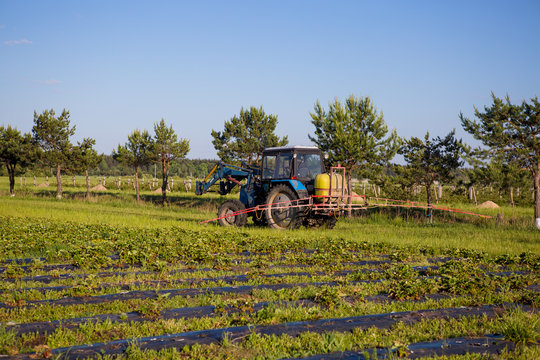 Agrikultura tractor cultivates the soil on the field