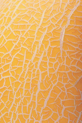 background of  yellow ripe melon