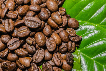 Kaffeebohnen auf Kaffee-Blätter