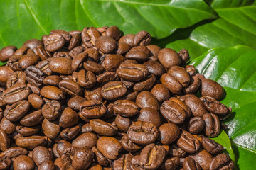 Kaffeebohnen auf Kaffee-Blätter