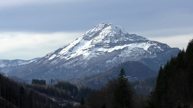 &Ouml;tscher im Sp&auml;therbst 4k