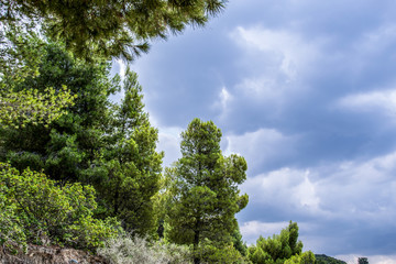 Fototapeta premium The rain falls in the horizon