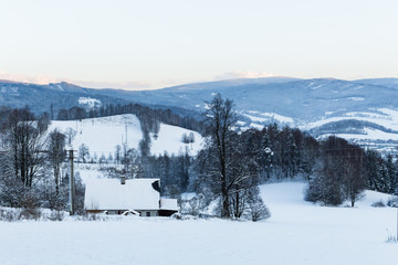 Trees covered with snow on a winter mountain