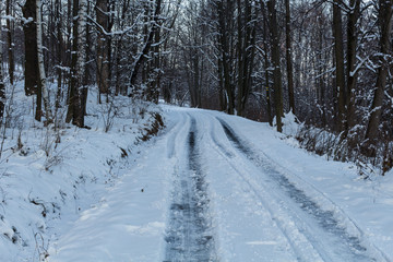 Winter landscape with snowy trees and snowmobile path