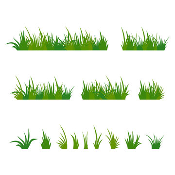 Set of green tufts grass, herbaceous plants. Design elements isolated on white background. Vector illustration.