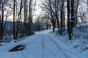 Snow covered dirt road on a beautiful winter day