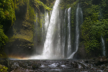 Fototapeta na wymiar big magical and bucolic waterfall in bali. indonesia