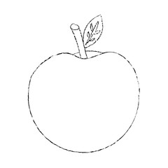 apple fruit icon image vector illustration design sketch line