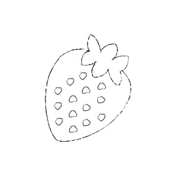 strawberry fruit icon image vector illustration design sketch line