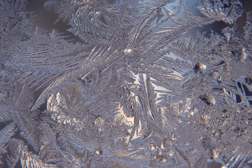 the unusual frost on a winter window
