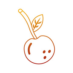 cherry fruit delicious vitamins nutrition food vector illustration