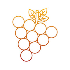 grapes fruit delicious vitamins nutrition food vector illustration