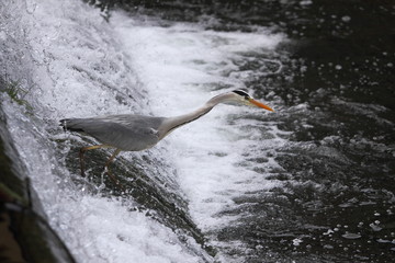 Platz in Goethes Garten