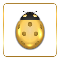 Ladybug gold insect small icon. Golden lady bug animal sign, isolated on white background. 3d volume design. Cute jewelry ladybird design. Cartoon lady bird closeup beetle. Vector illustration