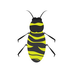 insect bug icon image vector illustration design 